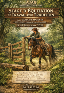 Stage d&rsquo;équitation de travail